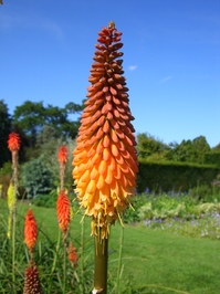 Waterperry Gardens_03.JPG